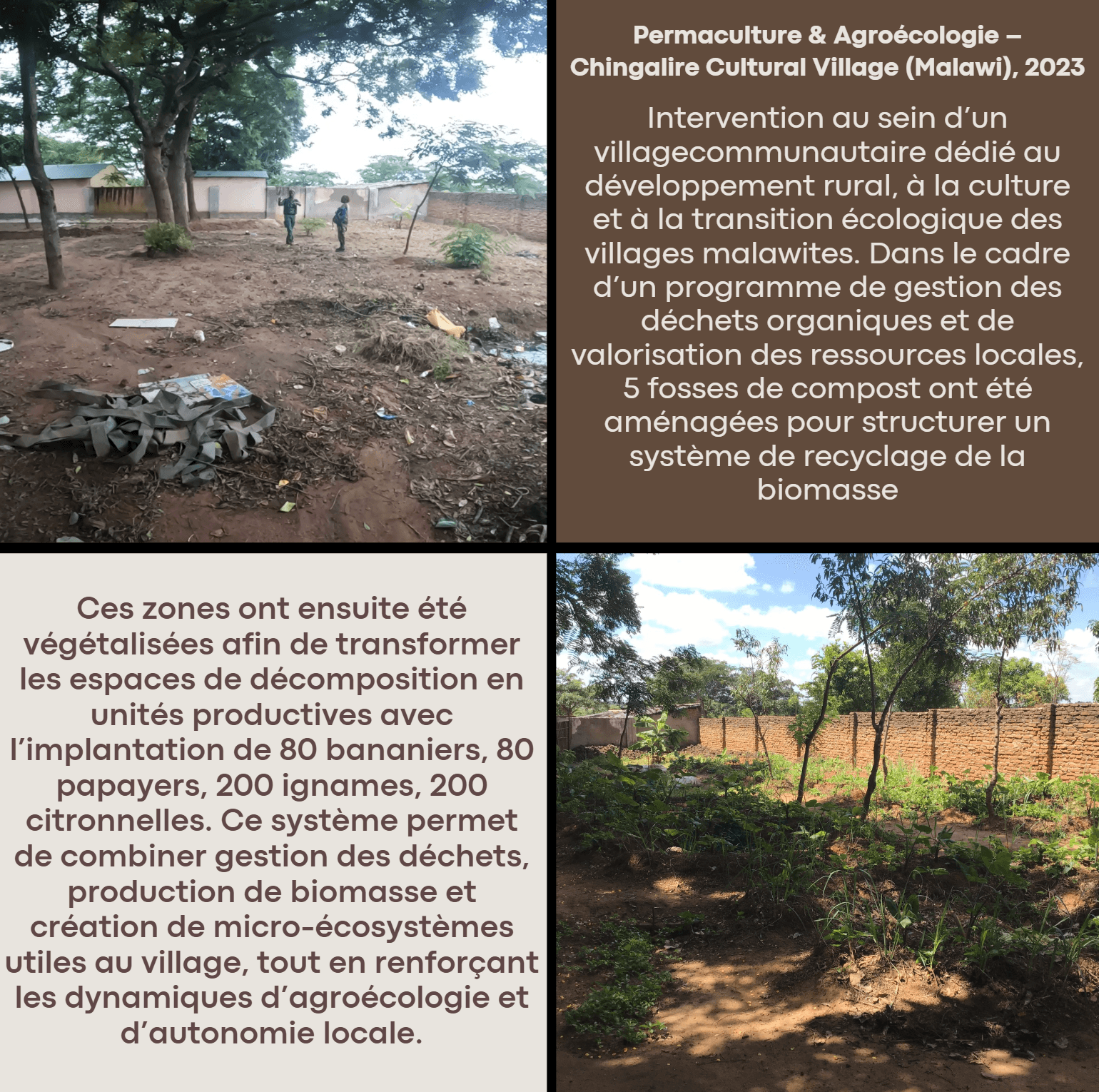 Collage illustrant la conversion de zones de déchets en micro-écosystèmes productifs au Malawi.
