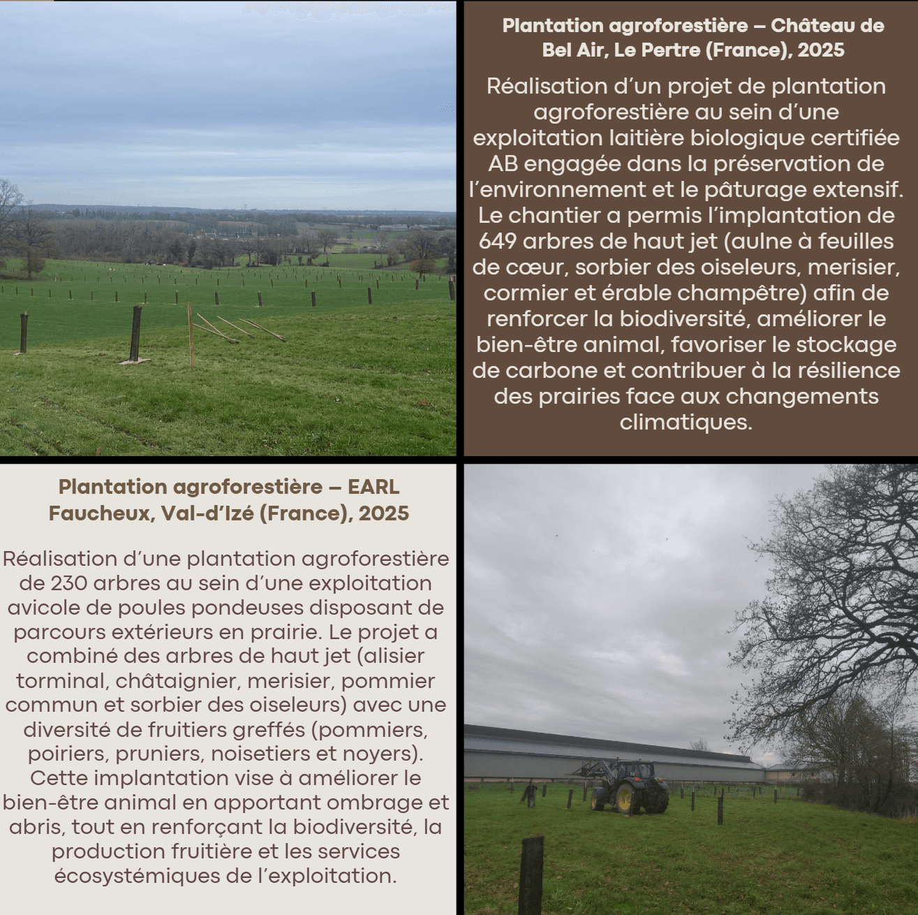 Collage illustrant des projets de plantation agroforestière en France avec champs et textes descriptifs.
