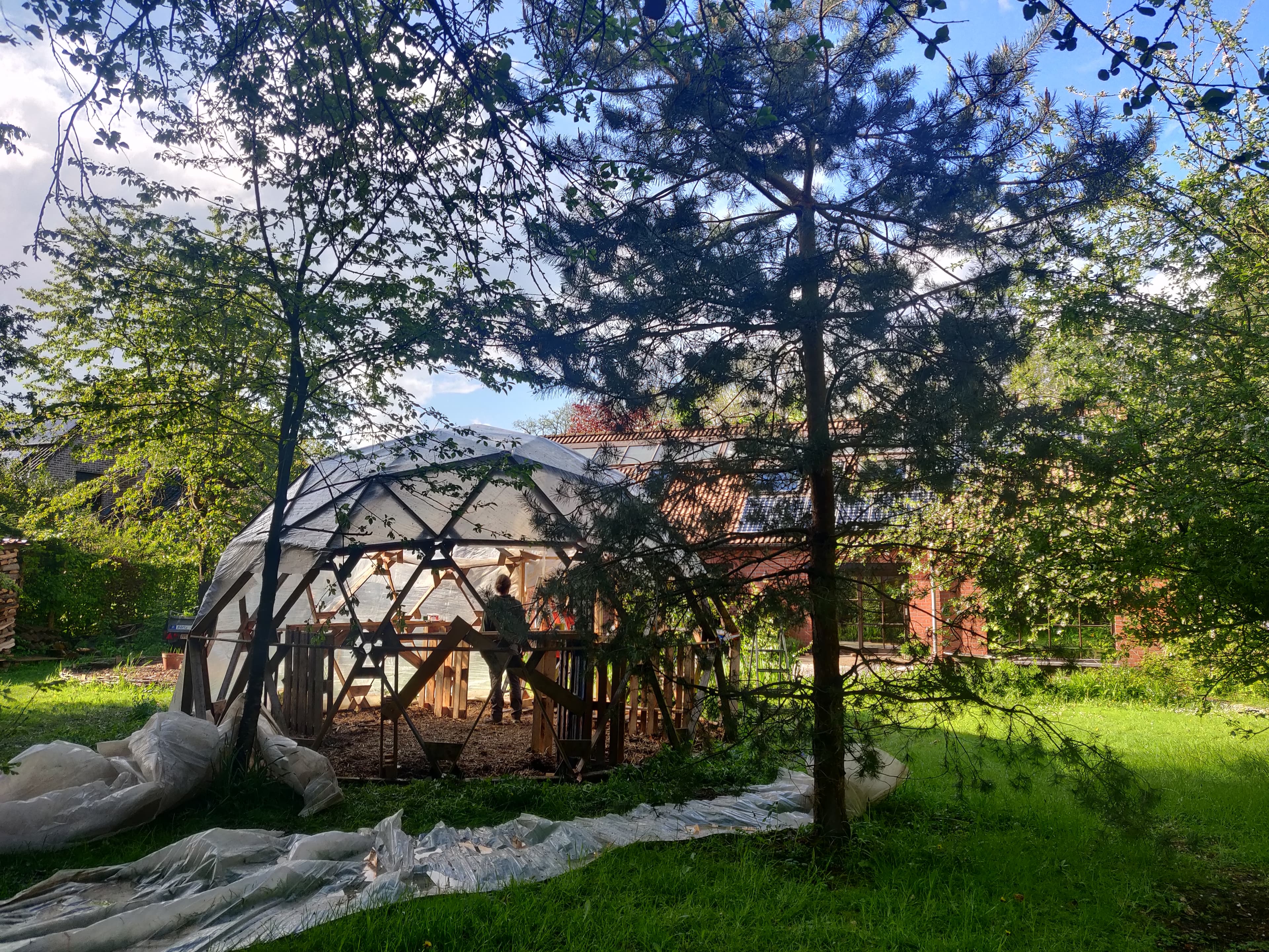 Serre géodésique en bois partiellement couverte de plastique dans un jardin arboré et ensoleillé.