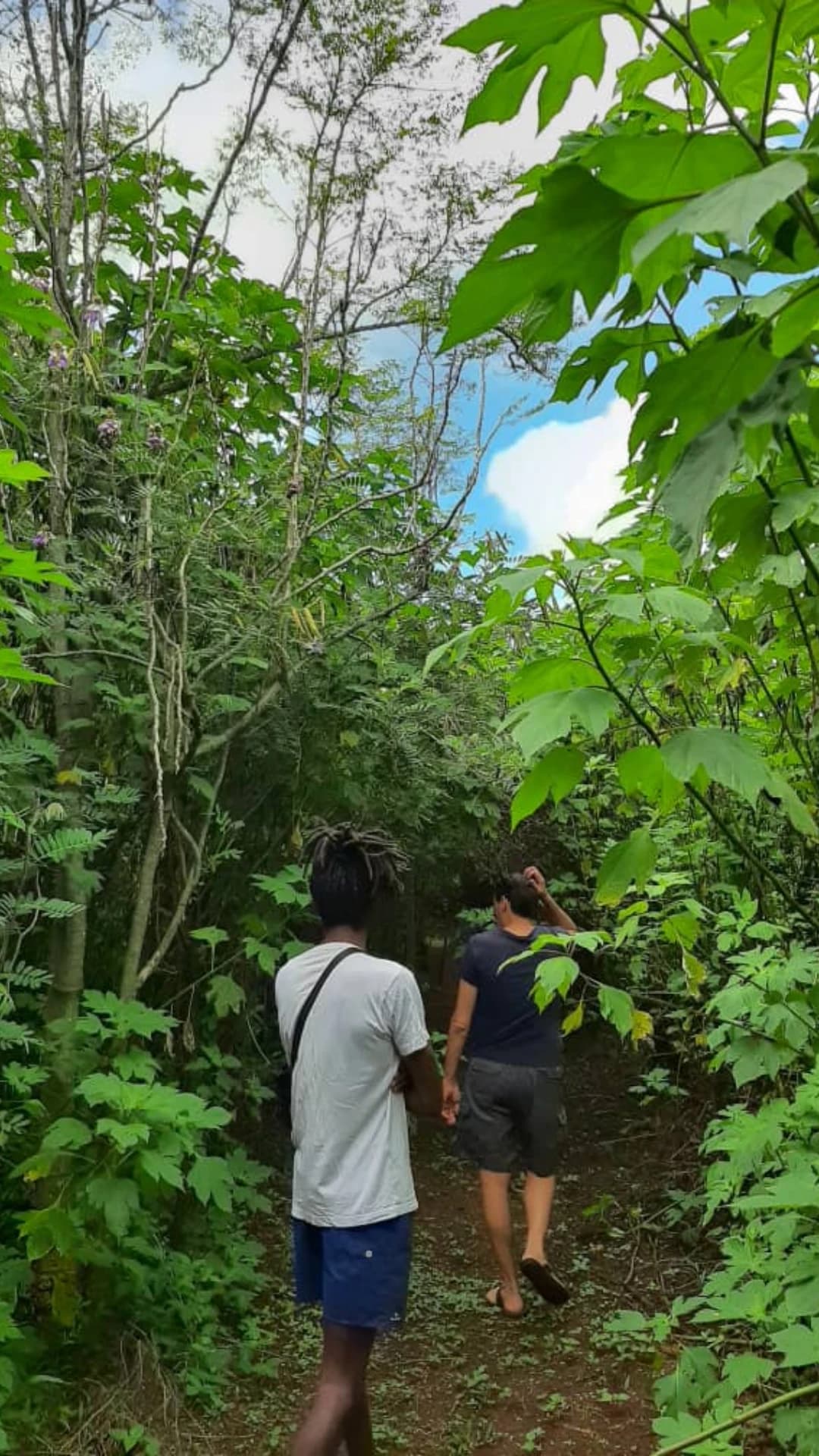 Deux personnes marchant sur un sentier étroit à travers une forêt tropicale dense et verdoyante.