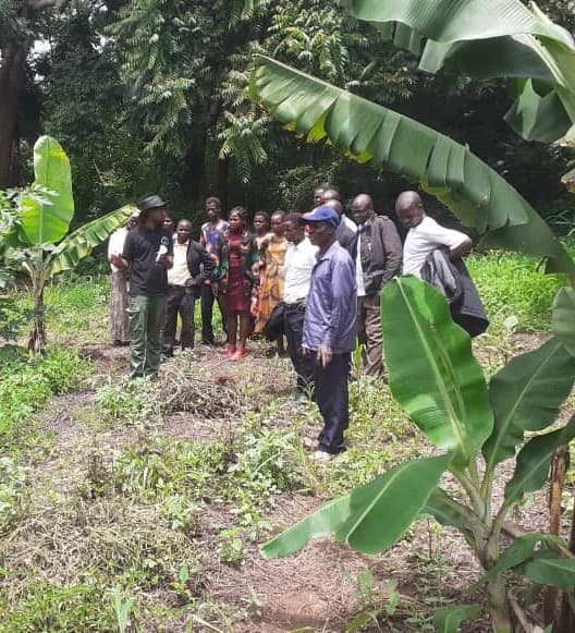 Un groupe de personnes réunies dans une plantation tropicale entourée de grands bananiers verts.